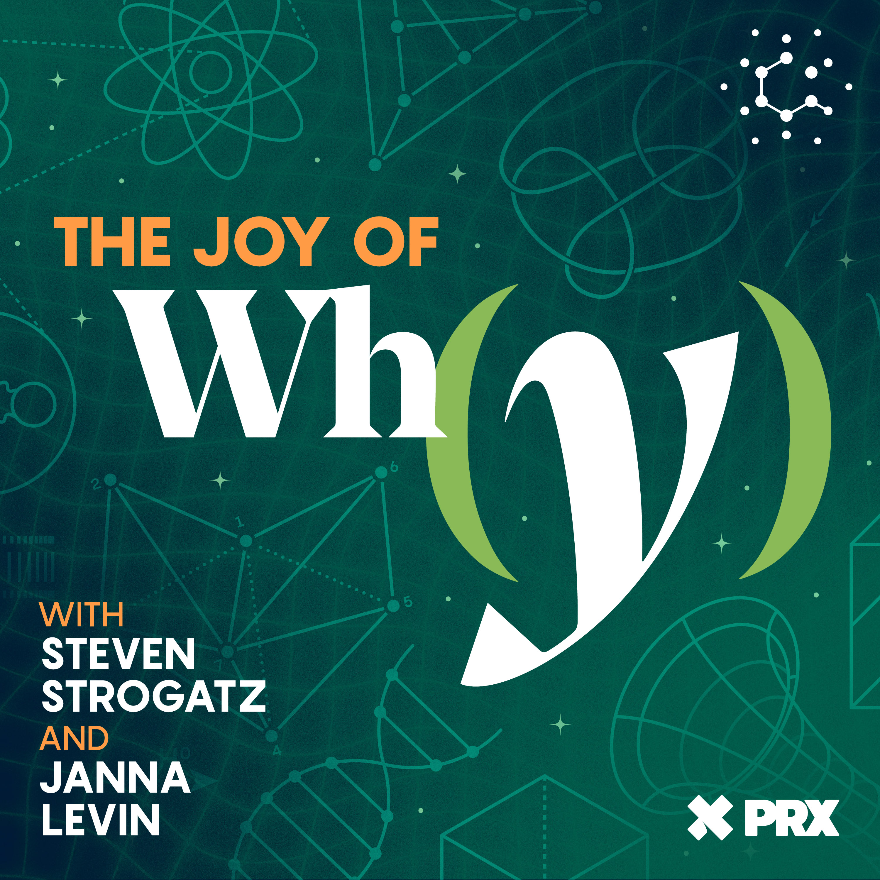 The Joy of Why cover